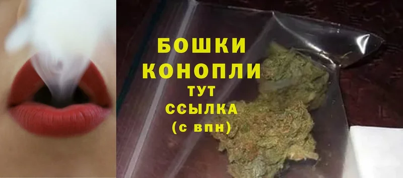 Шишки марихуана THC 21%  Железноводск 